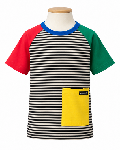 Camiseta Infantil Listrada Manga Colorida