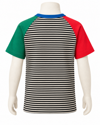 Camiseta Infantil Listrada Manga Colorida