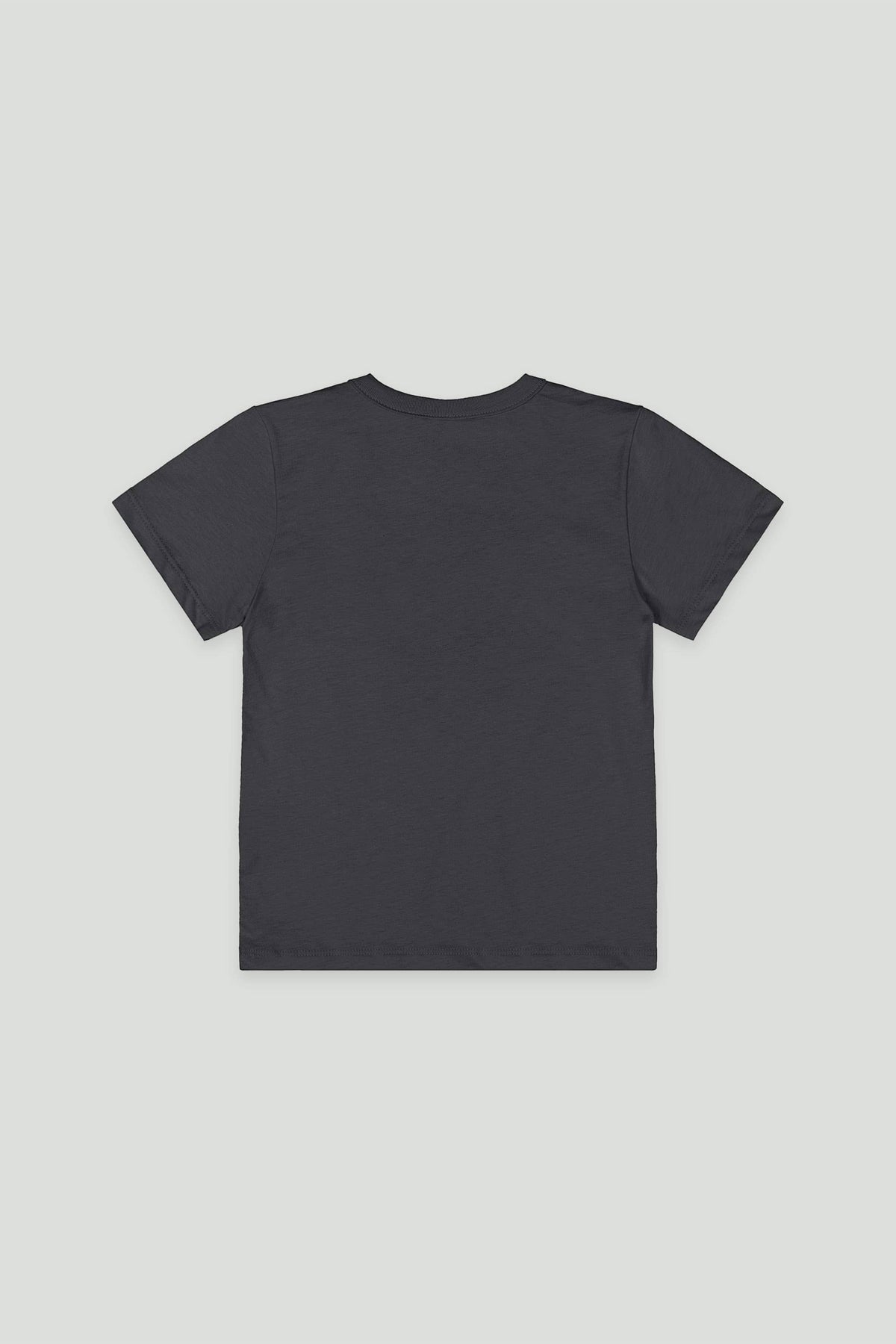 Camiseta Infantil Banda Chumbo Ébano | Lili Picolé