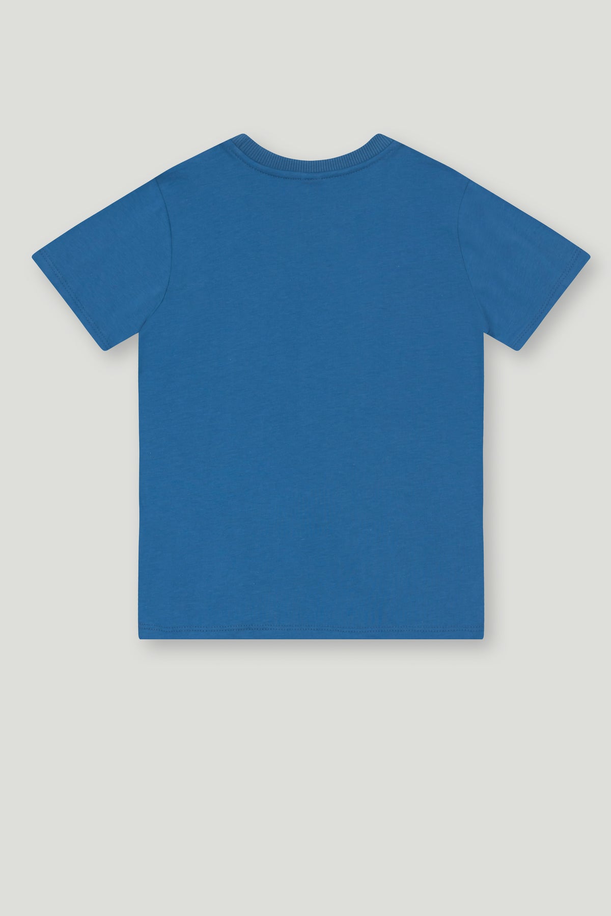 Conjunto Infantil Camiseta e Short Inseto | Lili Picolé
